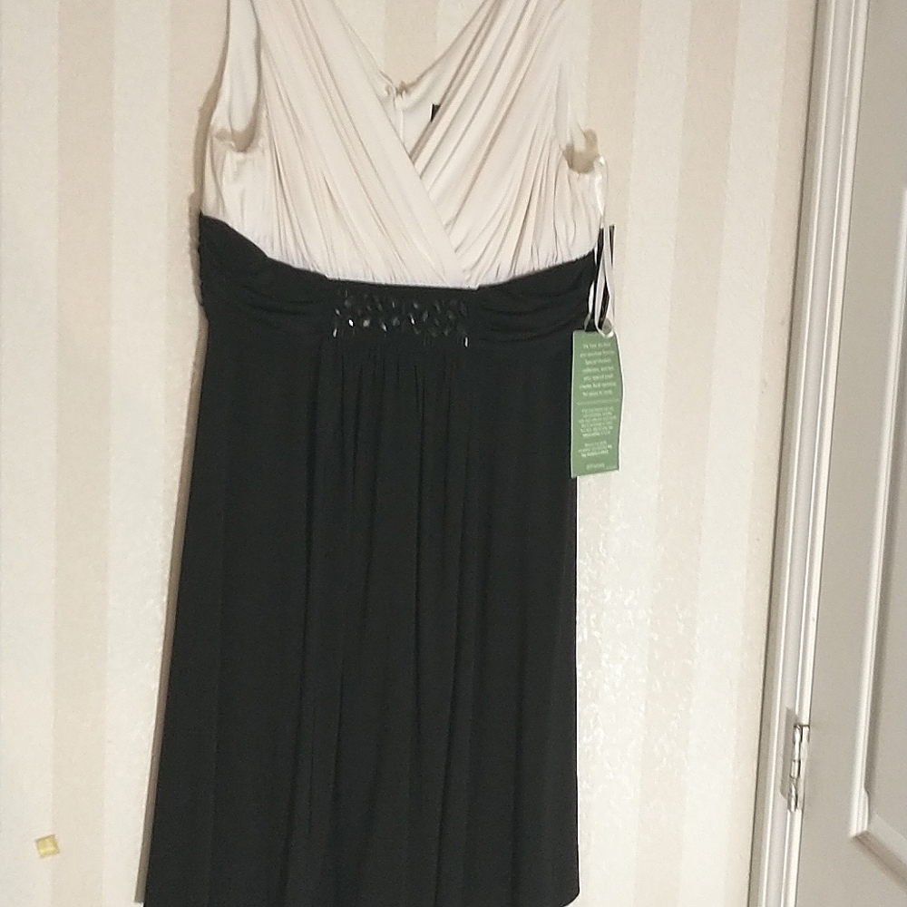 Evening Dress